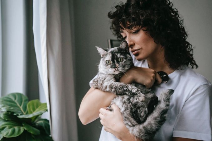Auch viele Menschen lieben das Schnurren von Katzen. Tiere, Katzen, Haustiere, Schnurren