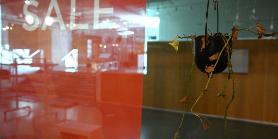 Im Juli 2023 beantragten 23,8 Prozent mehr Unternehmen Regelinsolvenzverfahren als im Vorjahresmonat.