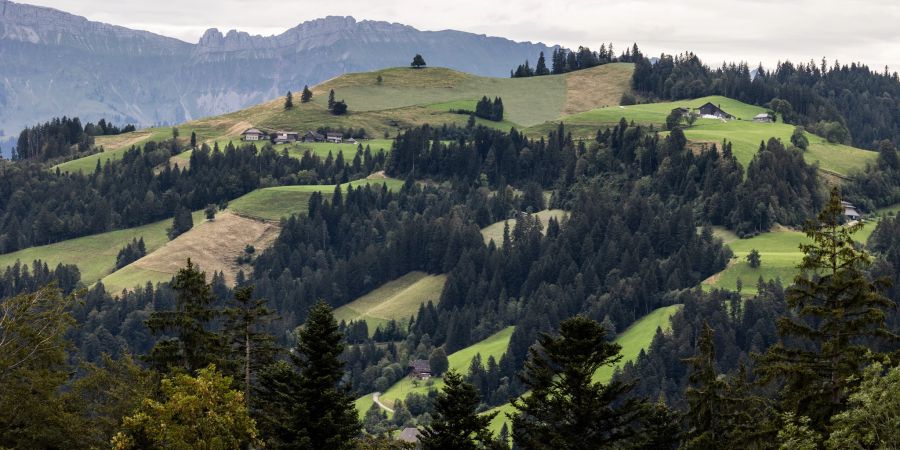 Emmentaler Landschaft.