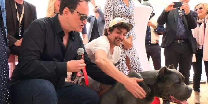 Tarantino mit einem Doppelgänger des Pitbulls Brandy Tarantino mit einem Doppelgänger des Pitbulls Brandy