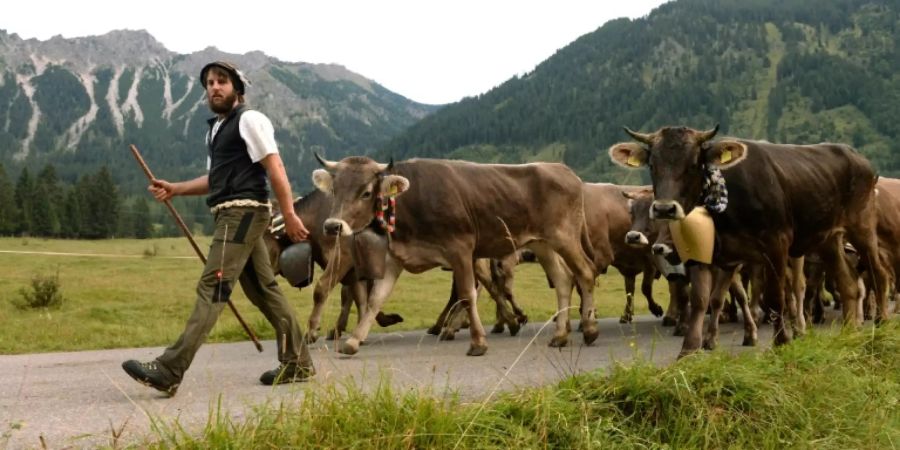 Bauer beim Almabtrieb in Bayern