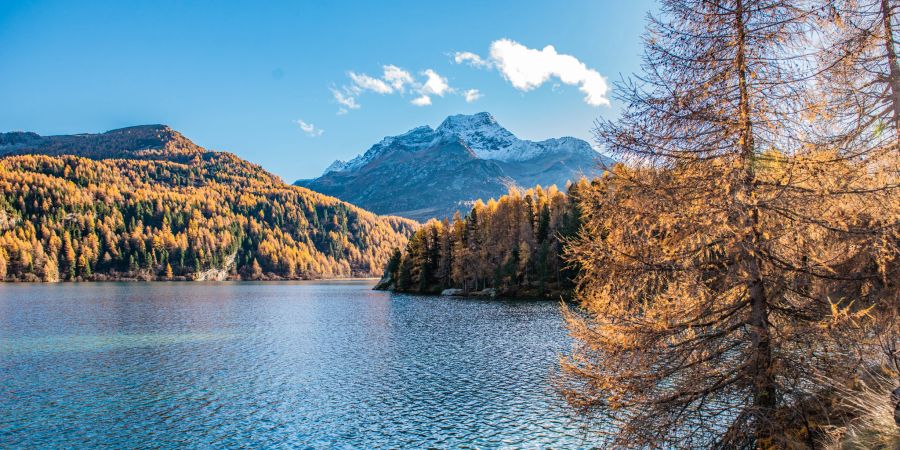 Der Silsersee im Oberengadin. - Sils / Engadin
