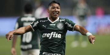 Palmeiras Brasilien