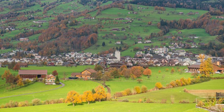 Die Gemeinde Steinen SZ. Der Ort wird oft auch als «Stauffacherdorf» oder als «Chriesidorf» bezeichnet. - Kanton Schwyz