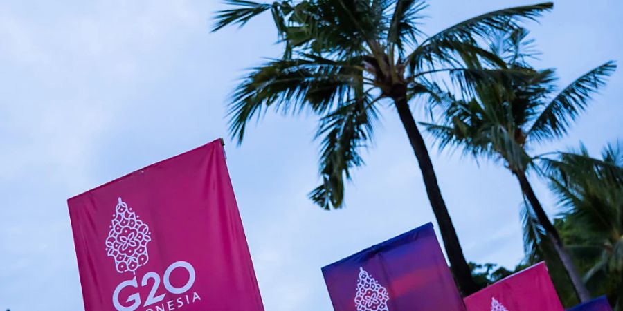 Palmen stehen am Medienzentrum neben Bannern des G20-Gipfels. Das Treffen der Gruppe der G20, der stärksten Industrienationen und aufstrebenden Volkswirtschaften, findet am 15. und 16. November statt. Foto: Christoph Soeder/dpa