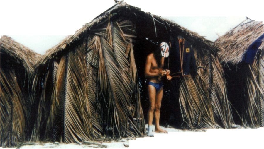 Palmwedel Hütte Mann Strand