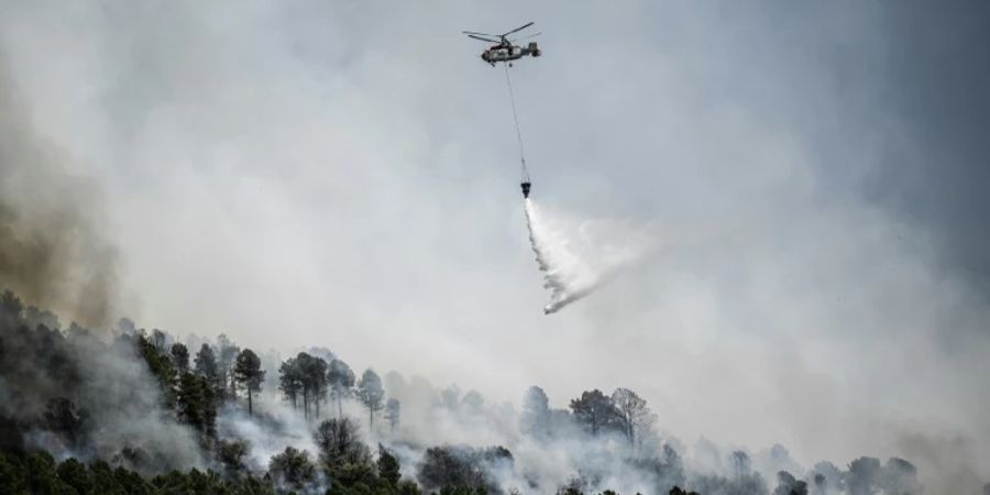 Waldbrand in Portugal