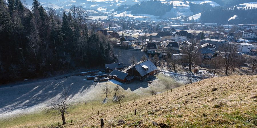 Blick auf Langnau und den Waldlehrpfad.