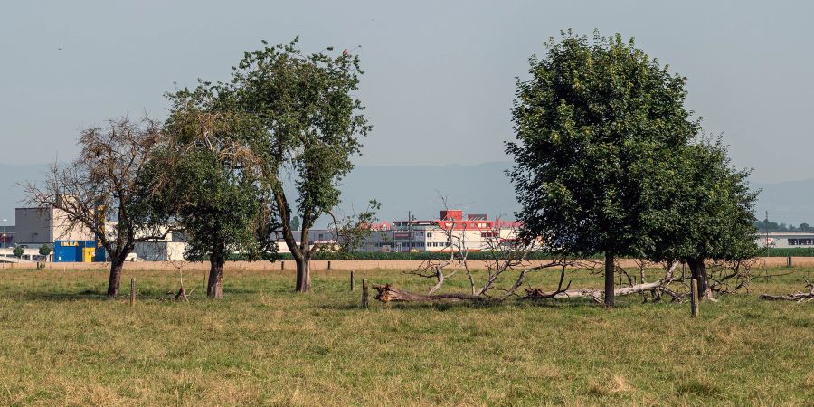 Landschaft bei Lyssach. Im Hintergrund die Einkaufsmeile von Lyssach.