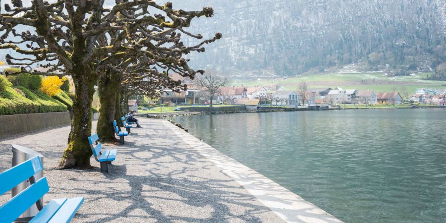 Die Seepromenade in Arth am Südufer des Zugersees.