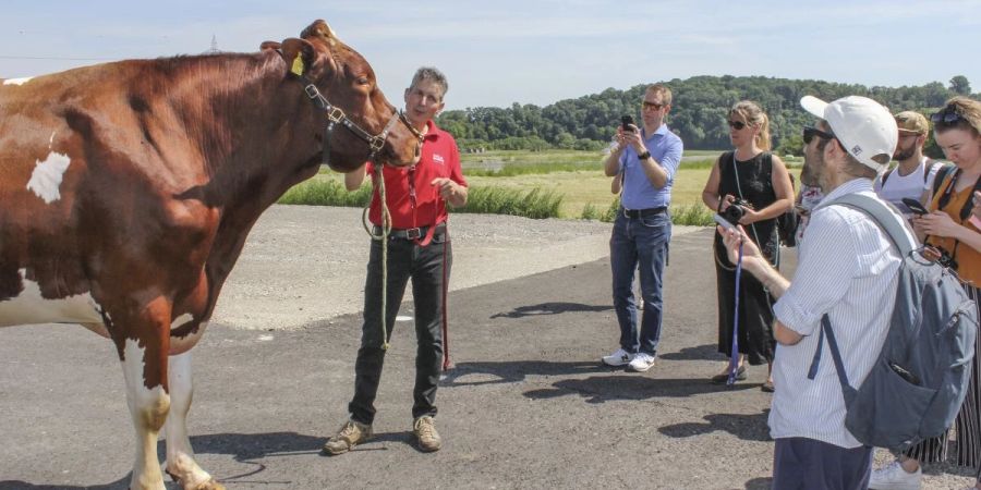 Eidgenössisches Schwing- und Älplerfest
