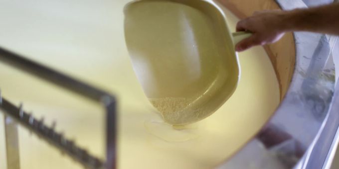 Milch aus dem Ausland wird teilweise auch für den Käseproduktion verwendet. Käse