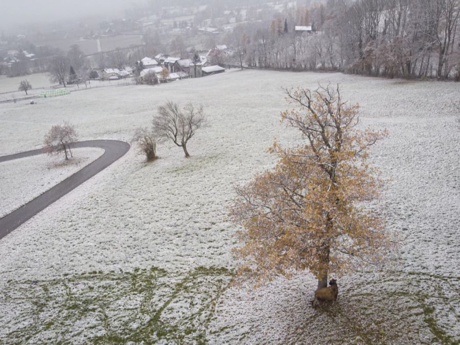 Am Wochenende gibt es nur noch Höchstwerte von 14-17 Grad, auch unterhalb von 1500 Metern könnte es weiss werden.