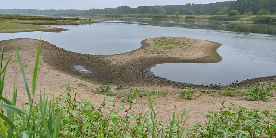 fischsterben