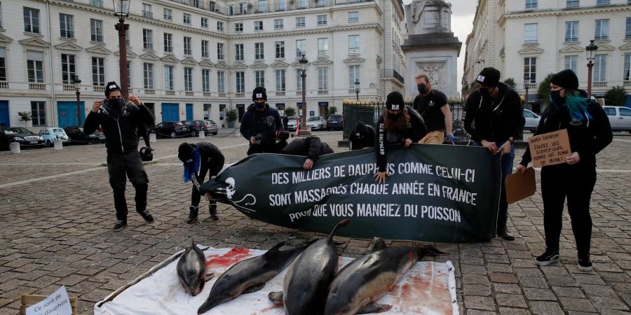 Protestierende drängen auf sicherere Praktiken in der Fischereiindustrie, damit Delfine besser vor tödlichen Fischernetzen geschützt werden.