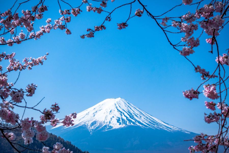 Japan Reisen Tourismus