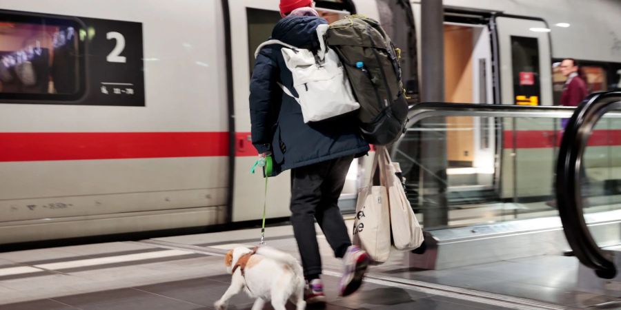 Kunden der Deutschen Bahn können Fahrkarten für Hunde ab sofort auch als Online-Tickets kaufen, nicht mehr nur auf Papier.