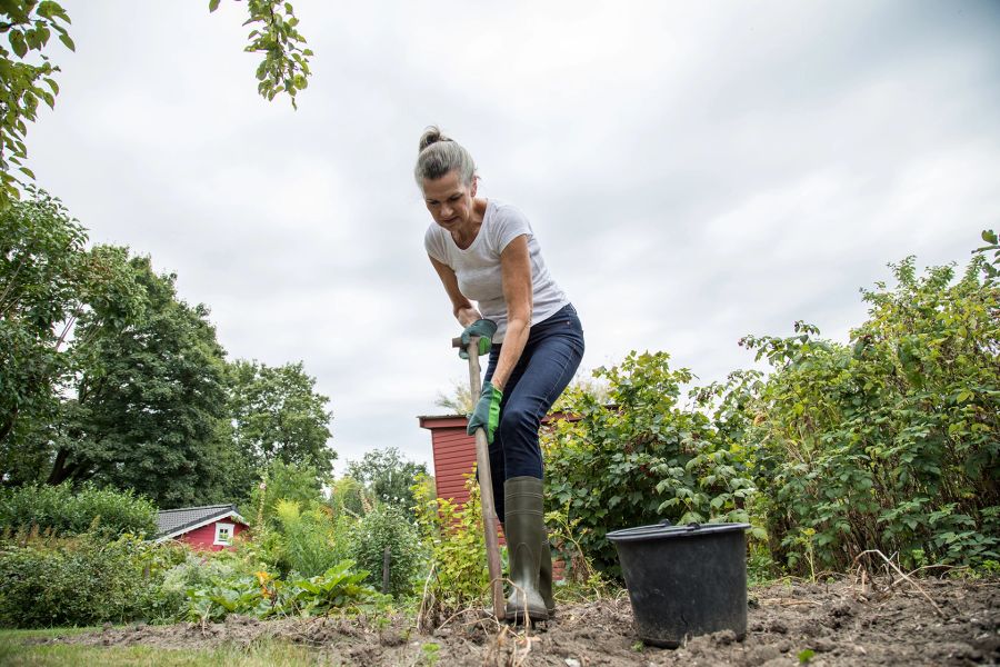 Boden Ökosystem artenreich gesund