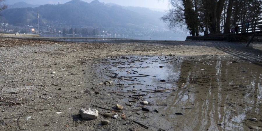 In weiten Teilen der Schweiz herrscht nach einem niederschlagsarmen Winter grosse Trockenheit, auch der Thunersee hat wenig Wasser.