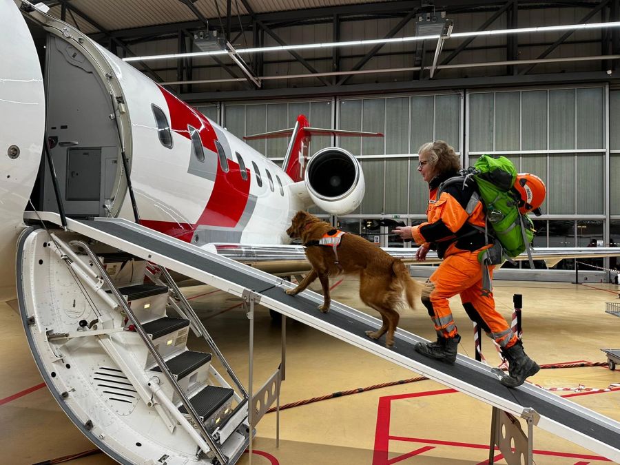 Ein weiteres Team von Redog betritt den Flieger in die Türkei.