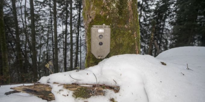 Im Naturpark Beverin zeichnen Kameras in Metallkästen auf, wo Skitourengänger durchfahren. (Symbolbild) kamera