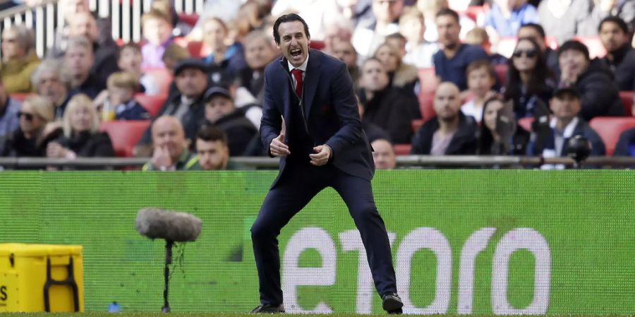 Der Spanier konnte Arsenal nicht zum gewünschten Erfolg führen.