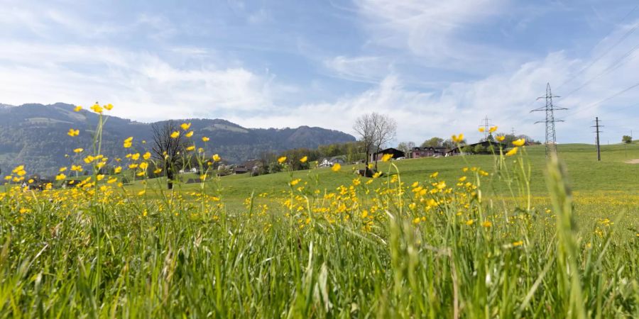 Einfahrt von Schübelbach Richtung der Gemeinde Tuggen.