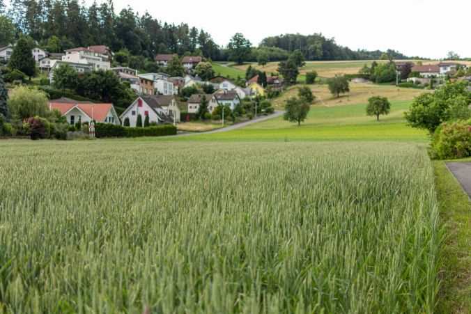 Ein Gerstenfeld in Unterkulm.