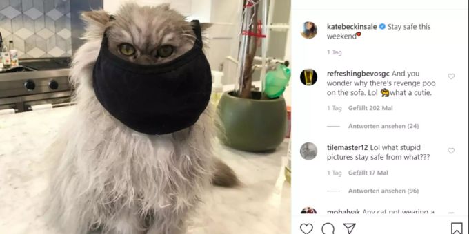 Kate Beckinsale rüstet Kater Clive mit einer Corona-Schutzmaske aus. Kate Beckinsale