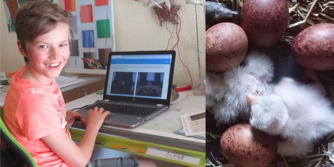 Lionel Hegner vor seinem Laptop. Mithilfe seines Vaters hat er eine Website programmiert, auf der man die Turmfalkenküken beobachten kann. Lionel Hegner