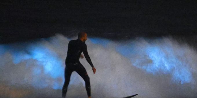 In Kalifornien wurde ein Surfer von einem Hai angegriffen. (Symbolbild) Kalifornien Surfer