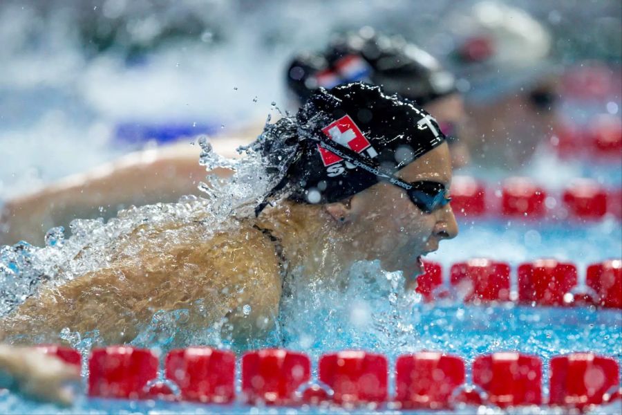 Schwimmclub Uster Wallisellen