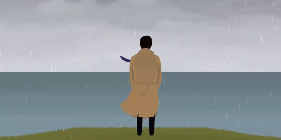 Nintendo Switch Rainswept