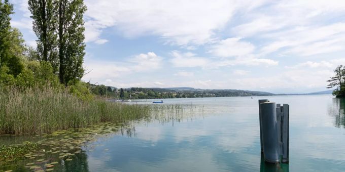 Der Hallwilersee bei Seengen. Der Hallwilersee bei Seengen.