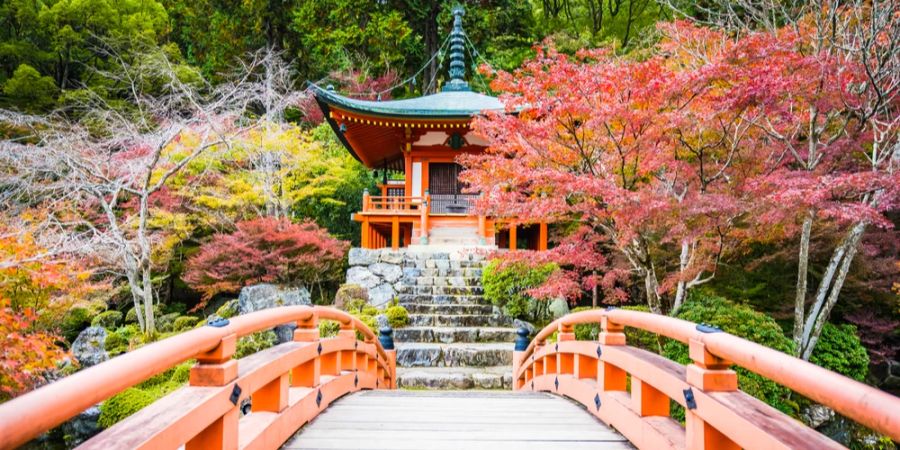 Brücke Tempel Kyoto Japan bunte Blätter Herbstimmung