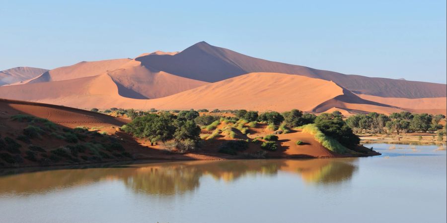 Namibia, Wüste, Sommer, Wasser, See