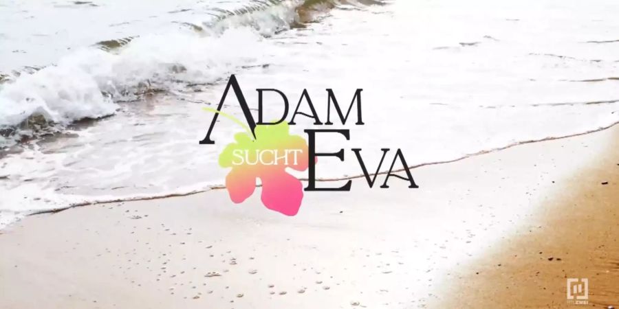 Adam sucht Eva