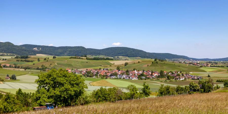 Aussicht über die Gemeinde Oberhallau.