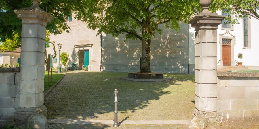 Das Schloss Grüningen (ZH).