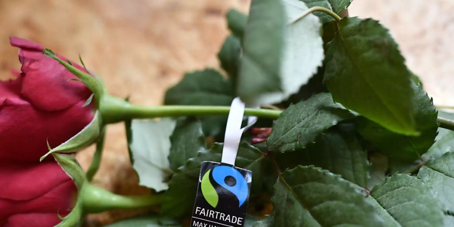 Rosen mit dem Gütesiegel von Max Havelaar: Schweizer Konsumenten ist die Nachhaltigkeit von Produkten wichtig, zeigt eine neue Studie (Symbolbild).