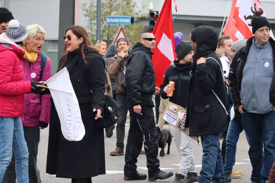 Protestler bei der Corona-Demo in Zürich. Der rechtsradikale Teil der Skeptikerbewegung wolle möglichst viel Hass schüren, so Experte Marko Kovic.