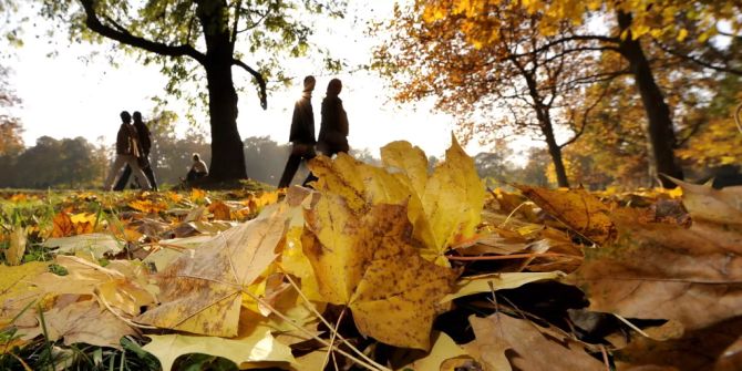 Wetter Herbst