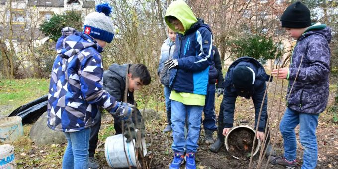 Sie pflanzen zwei schwarze Holunder ein (von links): Die Junggärtner namens Leandro, Raphael, Joshua, Finn und Theo.