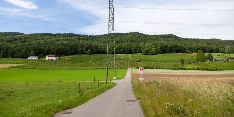 Aussicht über Acker- und Weinfelder in Freienstein.