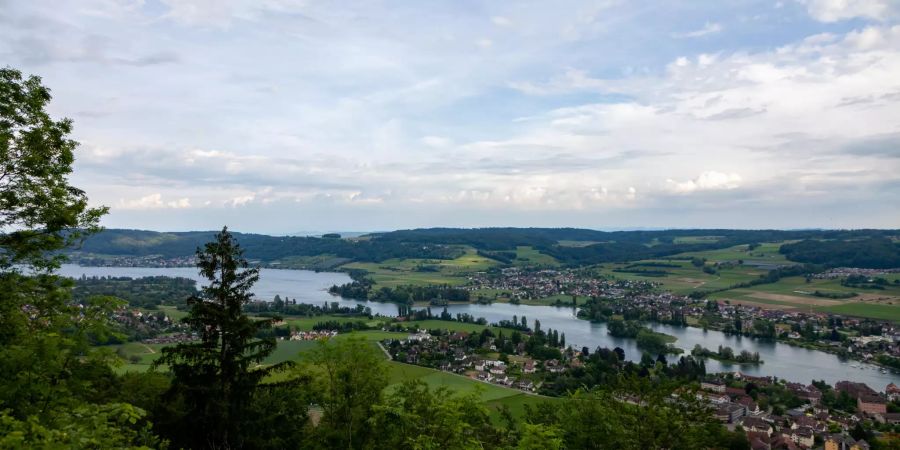 Aussicht über Stein am Rhein und Eschenz.