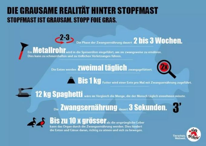Die Herstellung von Foie Gras ist immer mit Tierleid verbunden. Infografik