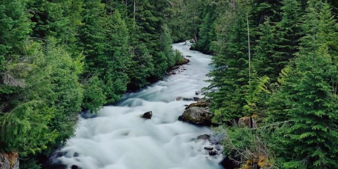 Aufnahmen vom strömenden Gewässer im «golden eye provincial park». flutiges Gewässer