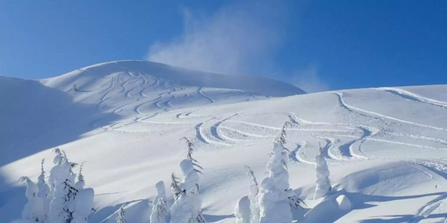 Keine präparierten Pisten in Sicht: In die kanadischen Berge zieht es vor allem Tiefschneebegeisterte. Foto: Bernhard Krieger/dpa-tmn