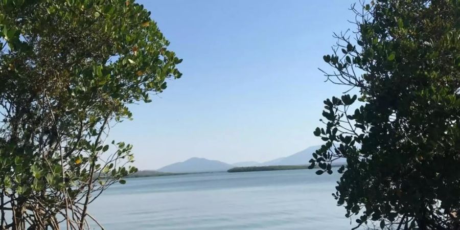 Blick von der Insel Worthington Island aufs Wasser. Foto: Privat/Craig Beckey/dpa