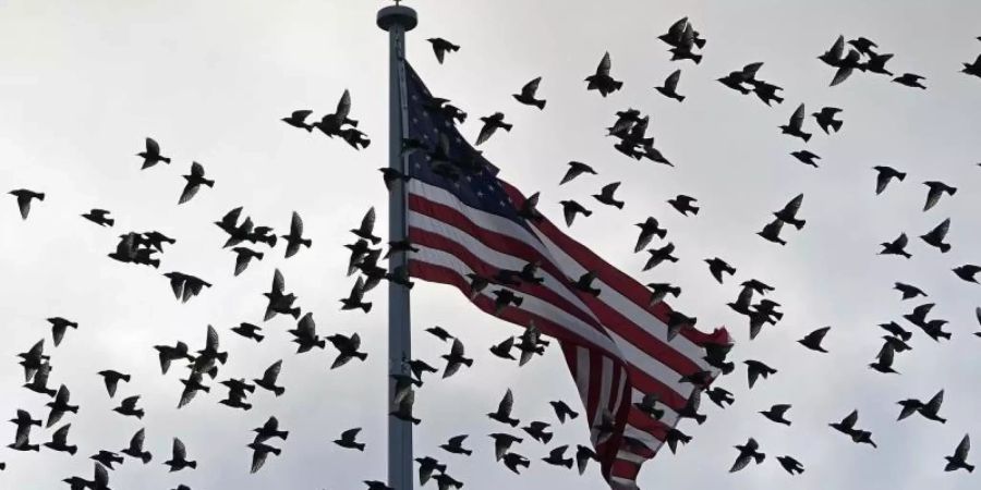 Eine US-Delegation will sich in Doha mit hochrangigen Vertretern der Taliban treffen. Foto: Susan Walsh/AP/dpa